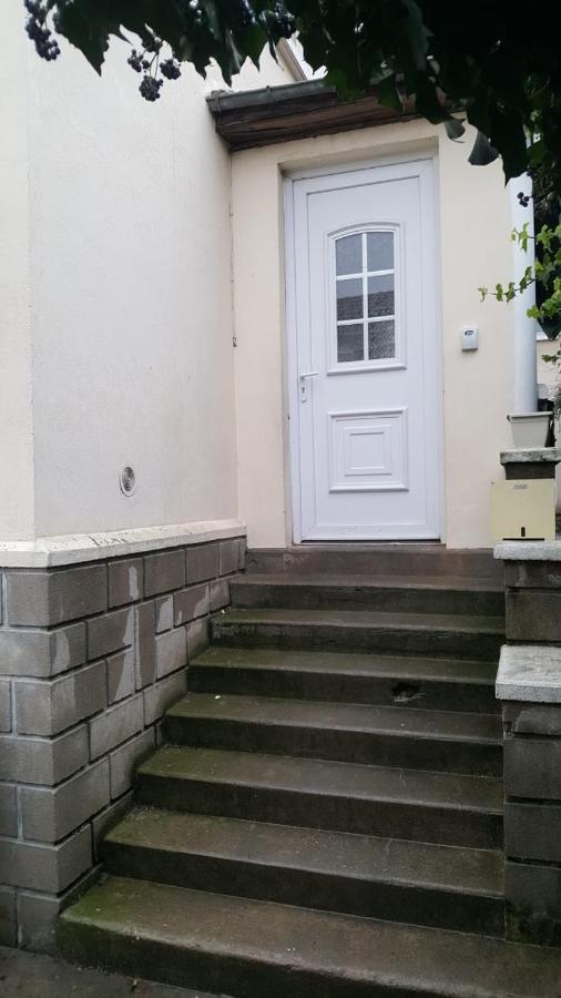 Grand Appartement Avec Terrasse & Jardin A 5 Minutes De Paris Cachan Exterior foto